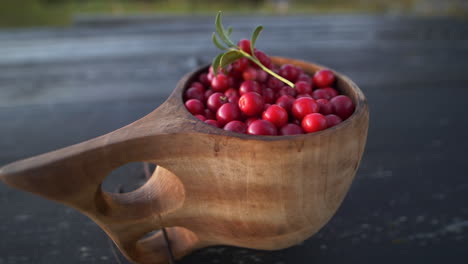 Lingonberries-in-wooden-cup-in-countryside,-close-up-panning-shot