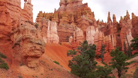 Tilt-up-to-"Queen's-Garden"-rock-formation-at-Bryce-Canyon,-Utah