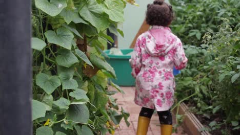 Playful-little-African-girl-in-pink-raincoat-waters-plants-in-garden,-handheld