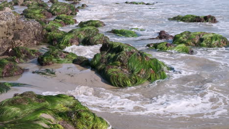 Waves-On-Rocks-Green-Rocks-At-El-Matador-Beach