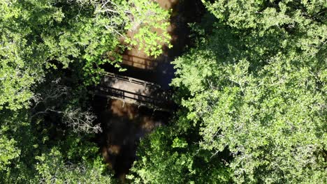 Drone-descending-over-dense-woodland-and-wooden-pedestrian-bridge
