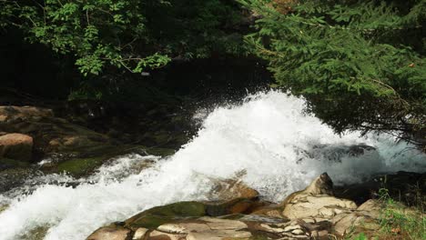 Rapid-river-stream-rushing-over-rocks-in-the-forest-during-sunny-summer-day
