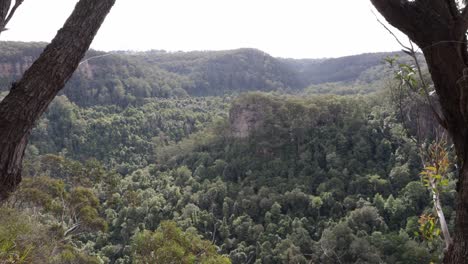 Blick-Auf-Das-Fitzroy-Falls-Tal-Hinter-Bäumen-Im-Kangaroo-Nationalpark-In-Australien-Mit-Nebel,-Gesperrte-Aufnahme