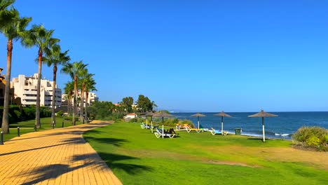 Beautiful-palm-trees-and-green-grass-by-the-beach-with-blue-sky-in-Marbella-Estepona,-Spain,-4K-static-shot
