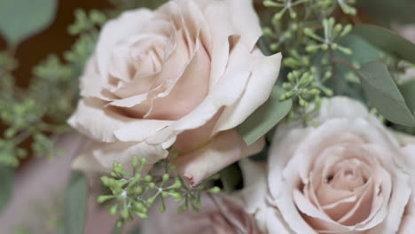 Two-white-roses-Sense-of-time-passing-light-shifting-past