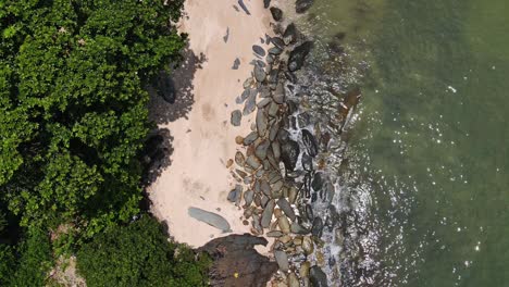 Drohne-Statische-Vertikale-Aufnahme-Von-Dschungelstrand-Und-Ozean
