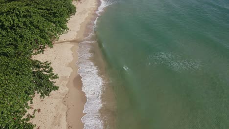 Aerial-forward-dolly-shot-of-pristine-beach-and-jungle-with-small-clear-waves-crashing-on-the-sand