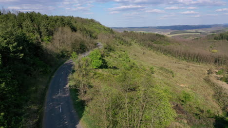 Flying-over-a-winding-road-in-the-forest-with-trees-on-both-sides