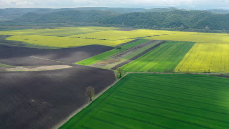Vista-De-Drones-De-Tierras-Agrícolas-En-Hungría