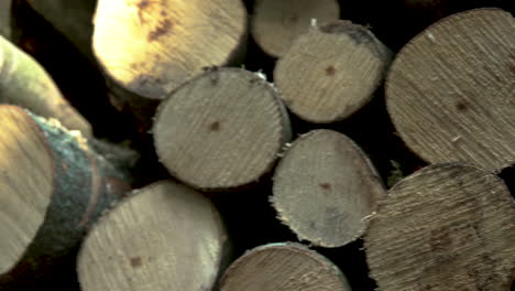 Close-up-of-Tree-Stumps-that-have-been-cut-down-and-put-in-a-pie,-Pan-right
