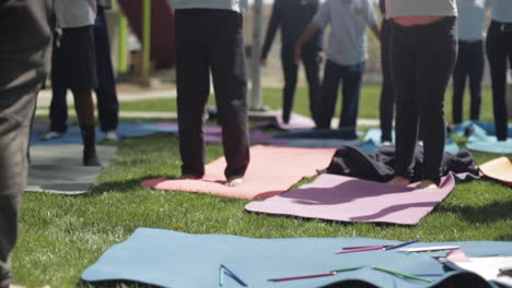 Eine-Gruppe-Junger-Grundschüler-Macht-Gemeinsam-Yoga-Auf-Gras