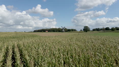 Bewegt-Sich-Schnell-über-Ein-Weizenfeld-Mit-Einer-Windmühle-Im-Hintergrund