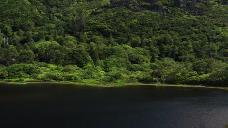 Paisaje-De-Irlanda---Hermoso-Lago-Escénico-Con-Fondo-De-árbol-Exuberante,-Dron-Aéreo