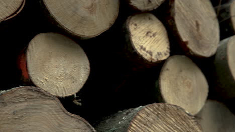 Close-Up-Details-Of-Tree-Logs-Cut-For-Fuel-And-Stocked-In-A-Pile---Forest-Clearing-In-Koleczkowo,-Poland---panning-shot