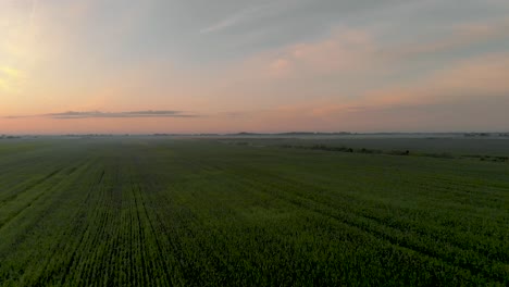 Golden-Hour---Farmland-Countryside-of-Beautiful-Nature-Landscape-in-Latvia,-Aerial-Drone-Flyover