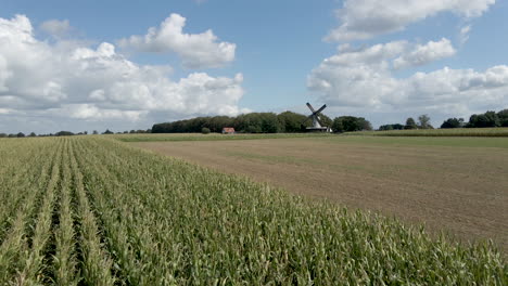 Schnell-Dolly-über-Weizenfeld-Mit-Windmühle-Im-Hintergrund