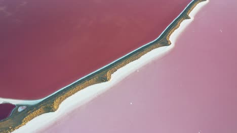 Aerial-View-of-Magical-Vibrant-Pink-Colors,-Solar-Evaporation-Ponds-by-Salt-Lake-Utah-USA,-Birdseye-Drone-Shot