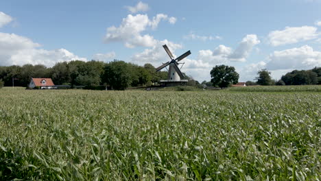 Bewegung-In-Richtung-Rotierender-Windmühle-Hinter-Einem-Schönen-Grünen-Weizenfeld