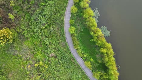 Pleasant-lush-green-walkway-of-Liberty-Park-Clarksville-Tennessee-aerial