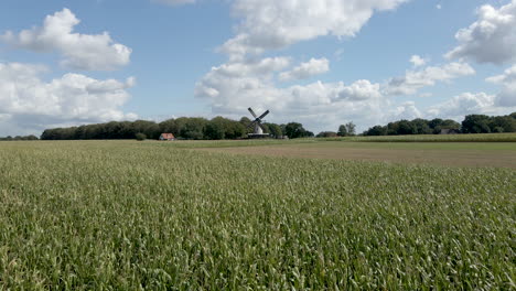 Low-aerial-over-wheat-field-towards-distant-windmill