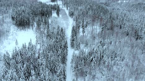 Aerial-view-overlooking-a-trail,-in-middle-of-snow-covered-trees-and-snowy-forest,-on-a-dark,-cloudy,-winter-day---Tilt-up,-drone-shot
