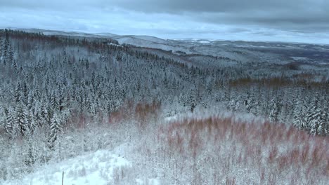 Aerial-view-rising-over-a-man-standing-on-a-hill,-looking-on-fells-and-snowy,-arctic-forest,-on-a-dark,-cloudy,-winter-day---tilt-up,-drone-shot