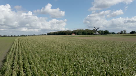 Aerial-dolly-over-wheat-field-with-windmill-in-the-background