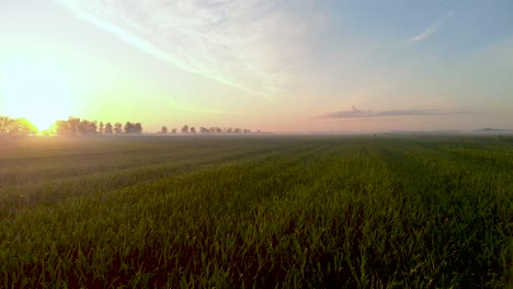 Sonnenstrahlen-Der-Goldenen-Stunde-über-Feldfrüchten-Auf-Landwirtschaftlichem-Ackerland-In-Lettland-–-Luftdrohnen-Enthüllung