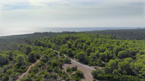 Aerial-Dolly-Over-Trees-Near-Coastline-Over-Sparsely-Populated-Farm-land-With-Trees