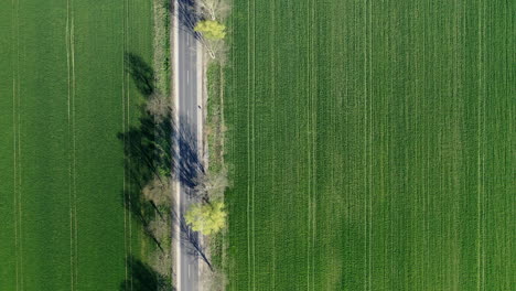 Luftaufnahme-Straße-Von-Oben-Gefilmt-Mit-Schatten-Von-Den-Bäumen-Auf-Dem-Ackerland