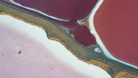 Top-Down-Aerial-View-of-Pink-Pond-Patterns-and-a-Barriers,-Great-Salt-Lake,-Utah-USA