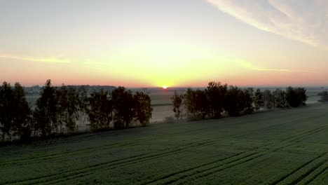 Lettland-Landschaft-Mit-Flachem-Ackerland---Landwirtschaftliche-Nutzpflanzen-Mit-Sonnenuntergang-Am-Horizont---Aufsteigende-Luftdrohnenansicht
