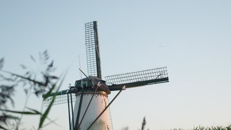 Landschaft-Mit-Traditioneller-Holländischer-Windmühle-Und-Vögeln,-Die-Bei-Sonnenuntergang-Fliegen