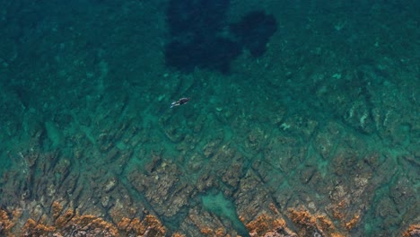 Mann-Schnorchelt-Und-Genießt-Im-Sommer-Das-Kristallklare-Türkisblaue-Wasser-In-Der-Nähe-Der-Insel-Losinj,-Kroatien
