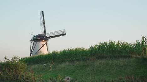 Schöne-Landschaft-Mit-Traditioneller-Holländischer-Windmühle-Bei-Sonnenuntergang