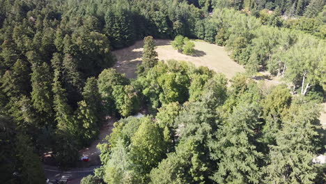 Luftaufnahme-Des-Mittelalterlichen-Waldes-Vallombrosa-In-Der-Nähe-Des-Berühmten-Katholischen-Klosters