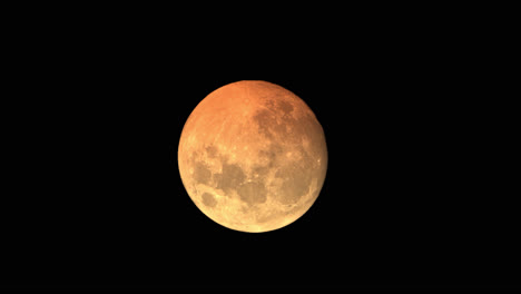 Gran-Luna-Llena-Naranja-Poniéndose-Rápidamente-En-El-Cielo-Nocturno,-Evento-Astronómico