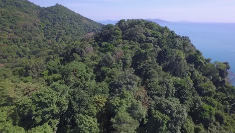 Aerial-shot-of-Jungle-rain-forest,-mountains-and-ocean