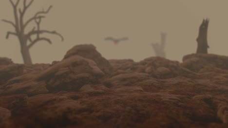 Postapokalyptisches-Land-Mit-Nebel-Und-Vorbeiziehenden-Drohnen