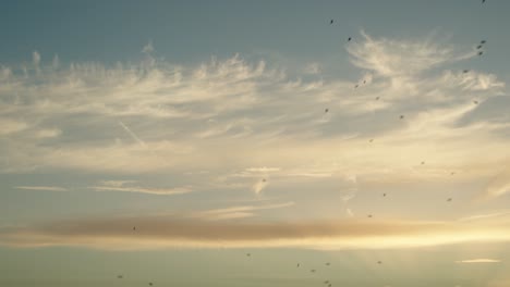 Atemberaubender-Sonnenuntergang-Mit-Fliegenden-Starenscharen