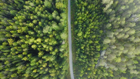 Aerial-drone-birds-eye-view-of-gravel-road-in-the-middle-of-a-forest