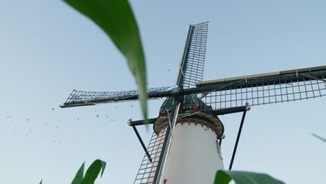 Dolly-forward-shot-of-starlings-perched-in-windmill-sail