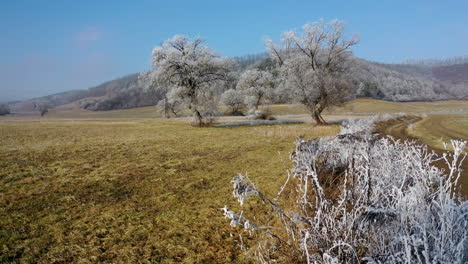 Slowly-flying-over-frozen-branches-with-beautiful-trees-and-hills-in-the-background