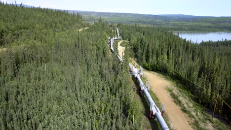 Alaska-Pipeline-in-Boreal-Spruce-Tree-Forest-Landscape---Breathtaking-Aerial-Drone-view