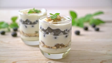 fresh-blueberries-and-yogurt-with-granola---Healthy-food-style