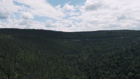 Weiße-Wolken-Und-Blauer-Himmel-Im-Sommer-über-Den-Immergrünen-Bäumen-Im-Wald-In-Der-Nähe-Von-Saint-Anne-Des-Mont-In-Quebec,-Kanada