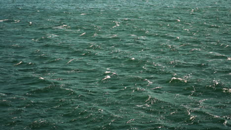 Slow-motion-shot-of-rough-choppy-ocean-water-with-moving-surface-and-ripples