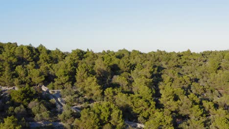 Aerial-dolly-shot-cresting-a-forested-ridge-to-reveal-the-coast-of-Losinj-island,-Croatia,-and-the-sea-beyond