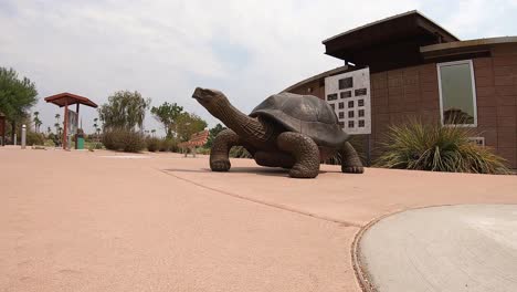 Low-angle-of-George-the-Tortoise,-Fountain-Pond,-Fountain-Hills,-Arizona