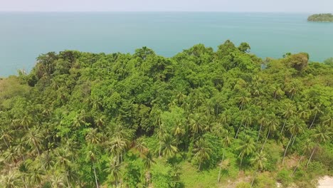 Koh-Chang-dense-palm-tree-woodland-coastline-ocean-aerial-tilt-down-view-Thailand